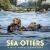 Sea Otters