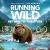 Running Wild: Return to the River