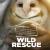 Wild Rescue